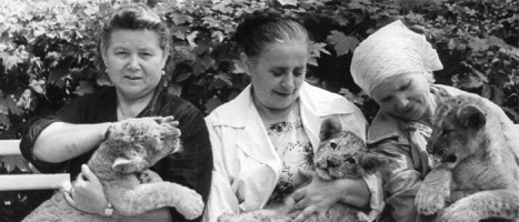 ������� �� ���������