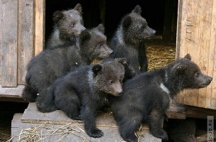 �������